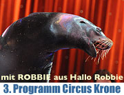 Winterspielzeit des Circus Krone - das Märzprogramm im Circus Krone vom 01.-29.03.2009 (Foto. Ingrid Grossmann)